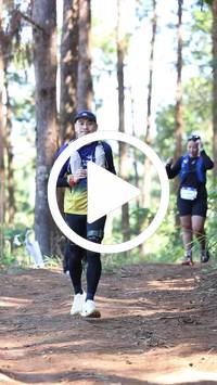 BIB:  <button type="button" onclick="openModal(26568955)" class="btn btn-primary btn-sm float-right" data-toggle="modal" data-target=".modal-high-quality">
                <i class="fa fa-download"></i> Download
                </button>